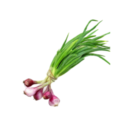 Spring Onion (450 - 500 gm)