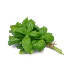 Basil Leaves 100 gm | Fresh Basil for Cooking and Recipes | Delidel India