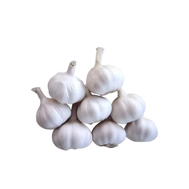 Garlic Bom 1 Kg | Delidel India  Bengaluru