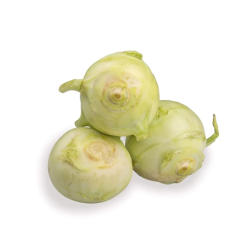 Knol Khol 2 kg | Wholesale Vegetable Supply | Delidel India