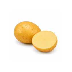 Potato Agra Per KG 20 | Delidel India Bengaluru