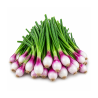 Spring Onion 250 gm | Fresh Spring Onions for Culinary Use | Delidel India