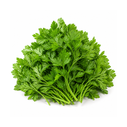 Coriander Leaves 1Kg | High Quality Culinary Herb | Delidel India