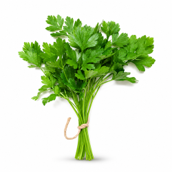 Coriander Leaves 250gm Bunch | Fresh Herbs for Commercial Kitchens | Delidel India
