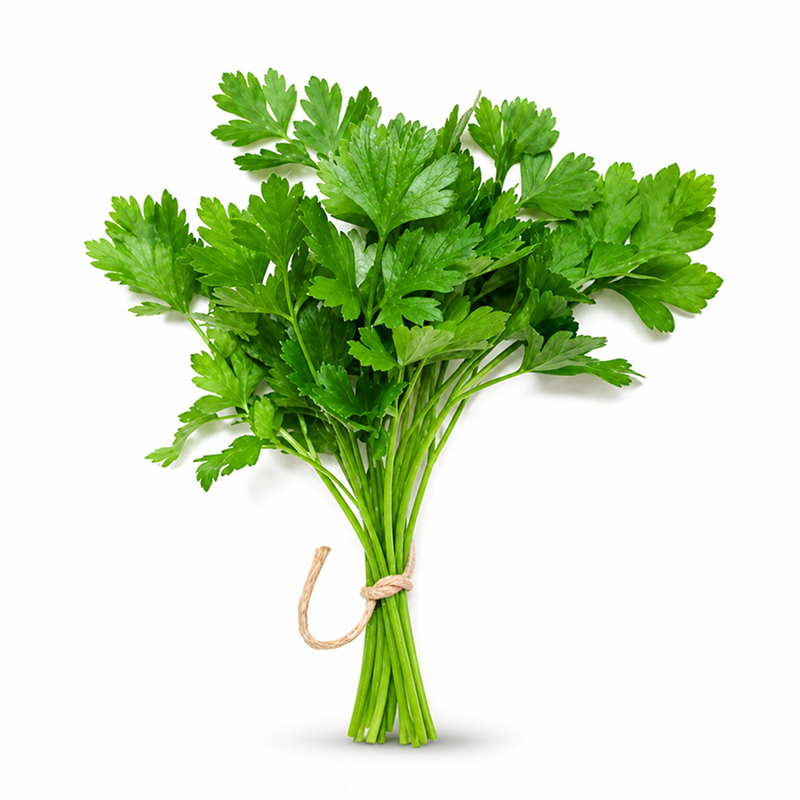 Coriander Leaves 250gm Bunch | Fresh Herbs for Commercial Kitchens | Delidel India