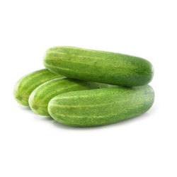 Indian Cucumber 1 kg | Wholesale and Bulk Supply | Delidel India