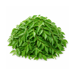 Curry Leaves 250 gm Bunch | Premium Quality for Culinary Needs | Delidel India