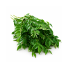 Curry Leaves 250 gm Bunch | Premium Quality for Culinary Needs | Delidel India