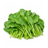Spinach 1 kg | High Quality Leafy Greens for Commercial Use | Delidel India