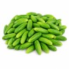 Ivy Gourd 1 kg - Coccinia Vegetable for Wholesale and Retail
