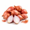 Sambar Onion 5 kg