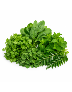 Leafy Vegetables